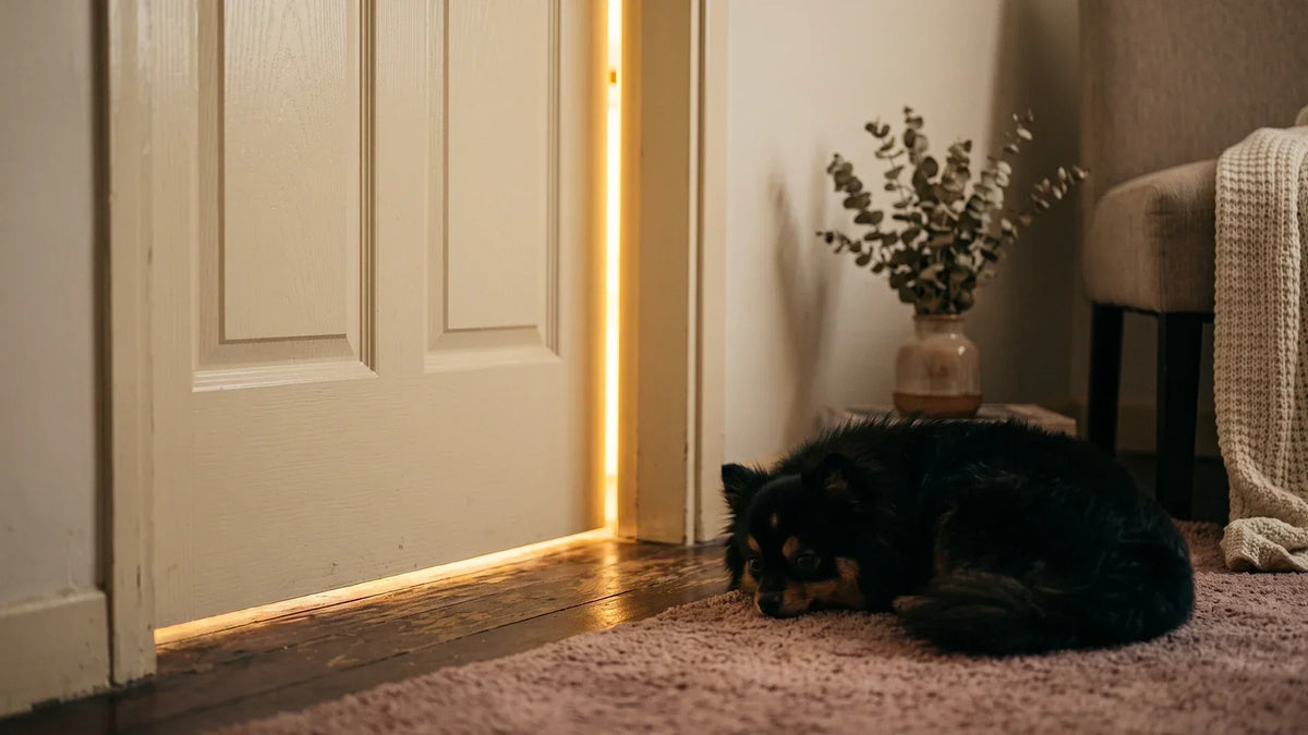 A door almost closed with warm light spilling through, showing when an INFP is done with you